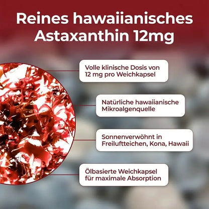 KlarsichtMD Astaxanthin – Bekämpft oxidativen Stress auf natürliche Weise, um das Gleichgewicht von innen und außen wiederherzustellen.